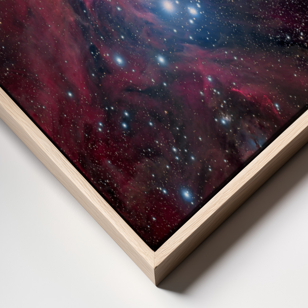 Canvas print - Orion frame close up