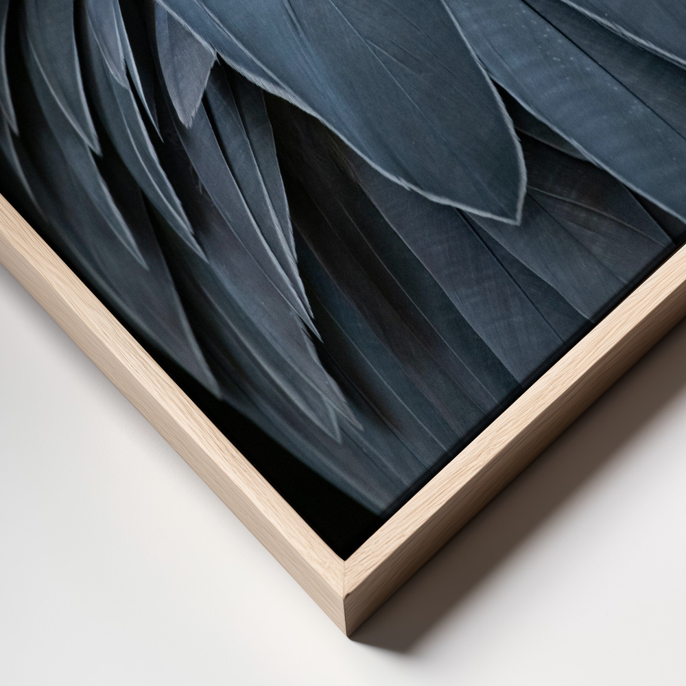 Canvas print - Feather frame close up