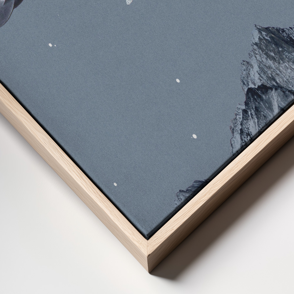 Canvas print - Aim for the moon frame close up