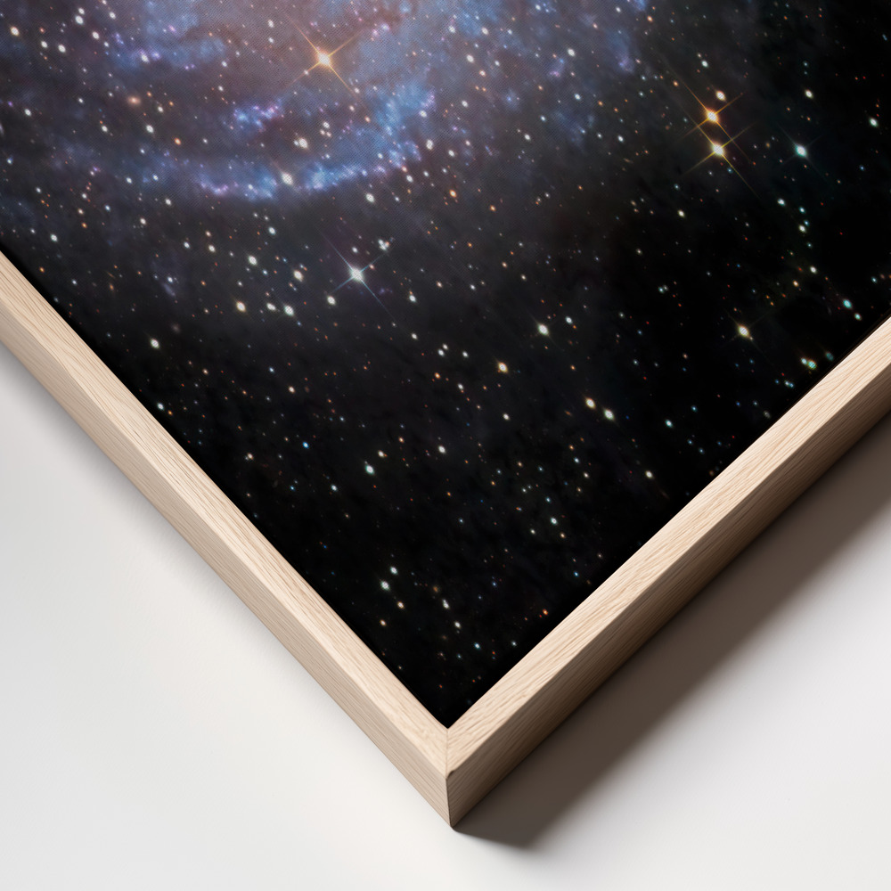 Canvas taulu - NGC 6744 Galaxy kehys lähikuva - luonnollinen kehys
