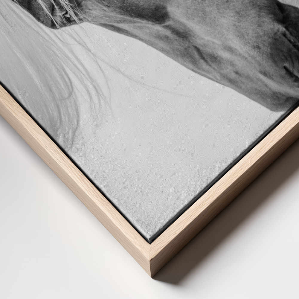 Canvas print - Halflinger Portrait frame close up