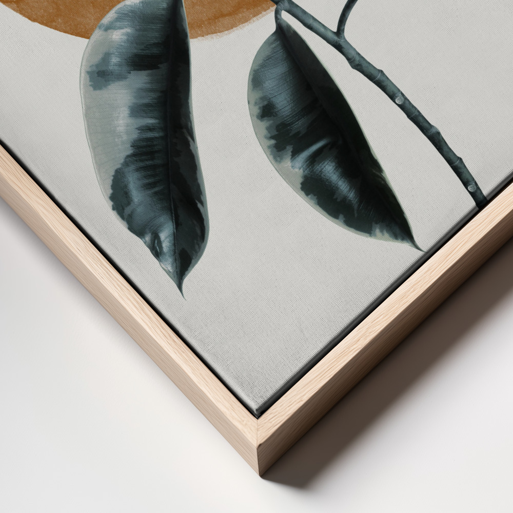 Canvas schilderi - Sun and Ficus frame close up - natuurlijk frame