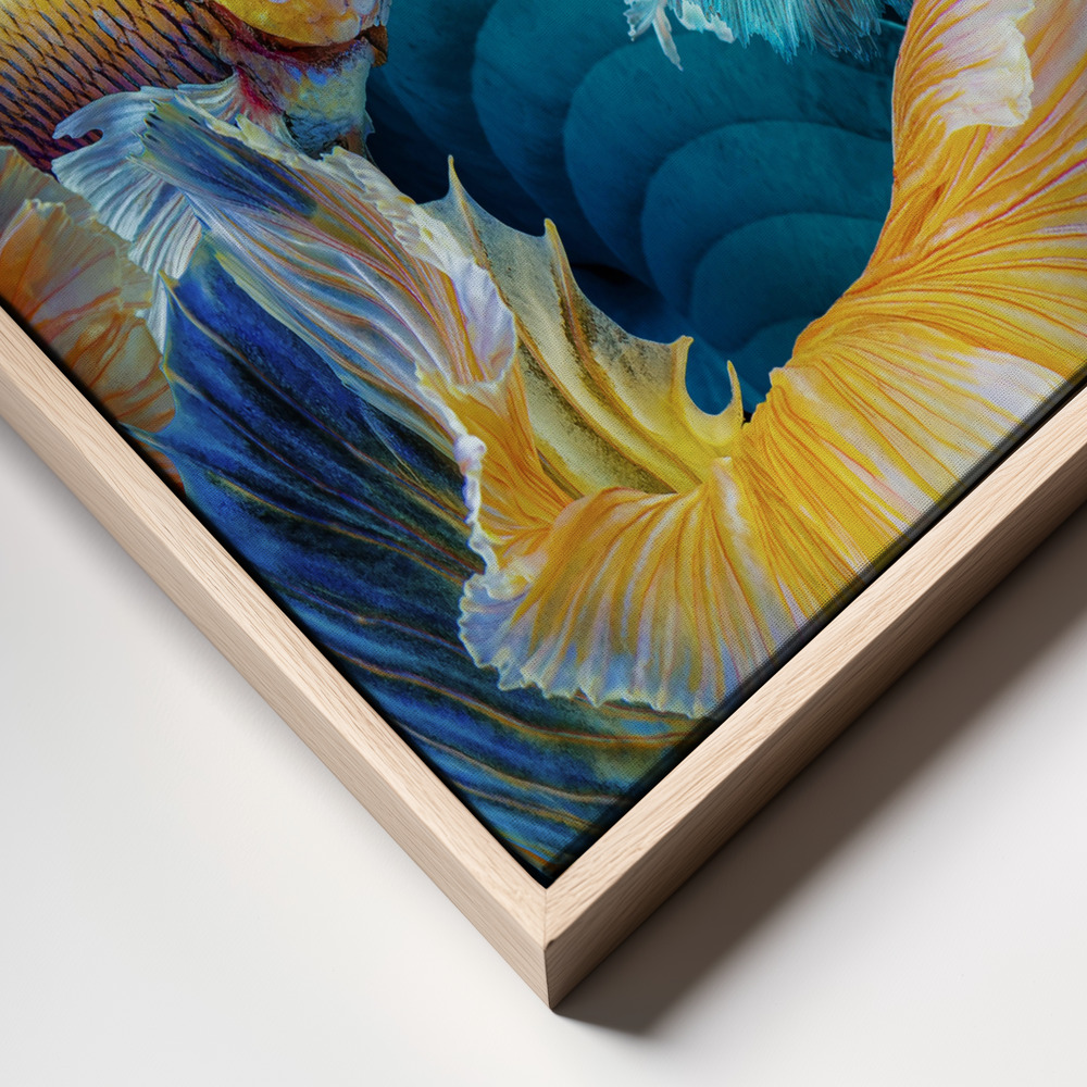 Canvas print - ColorFish frame close up