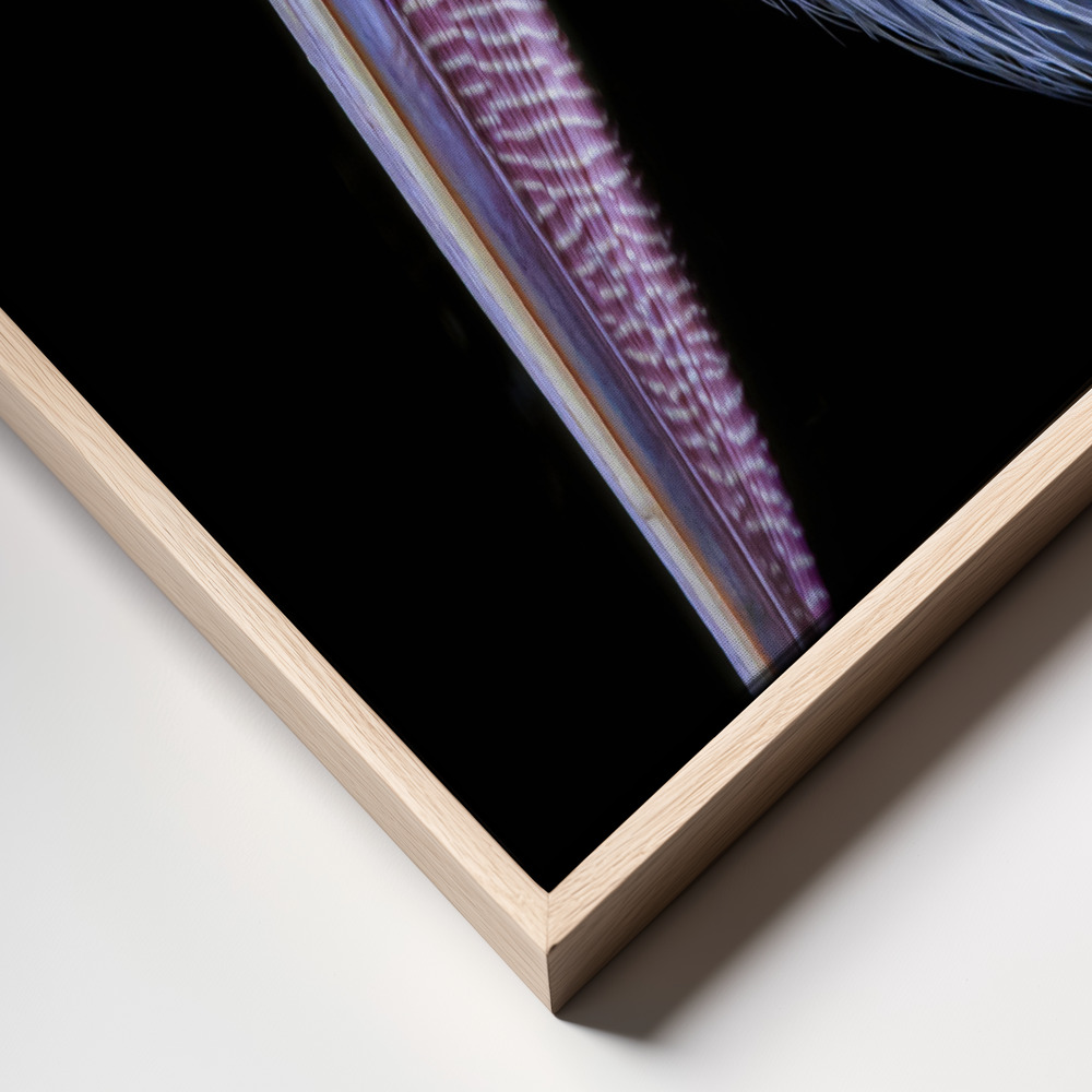 Canvas taulu - Profile of Patience kehys lähikuva - luonnollinen kehys
