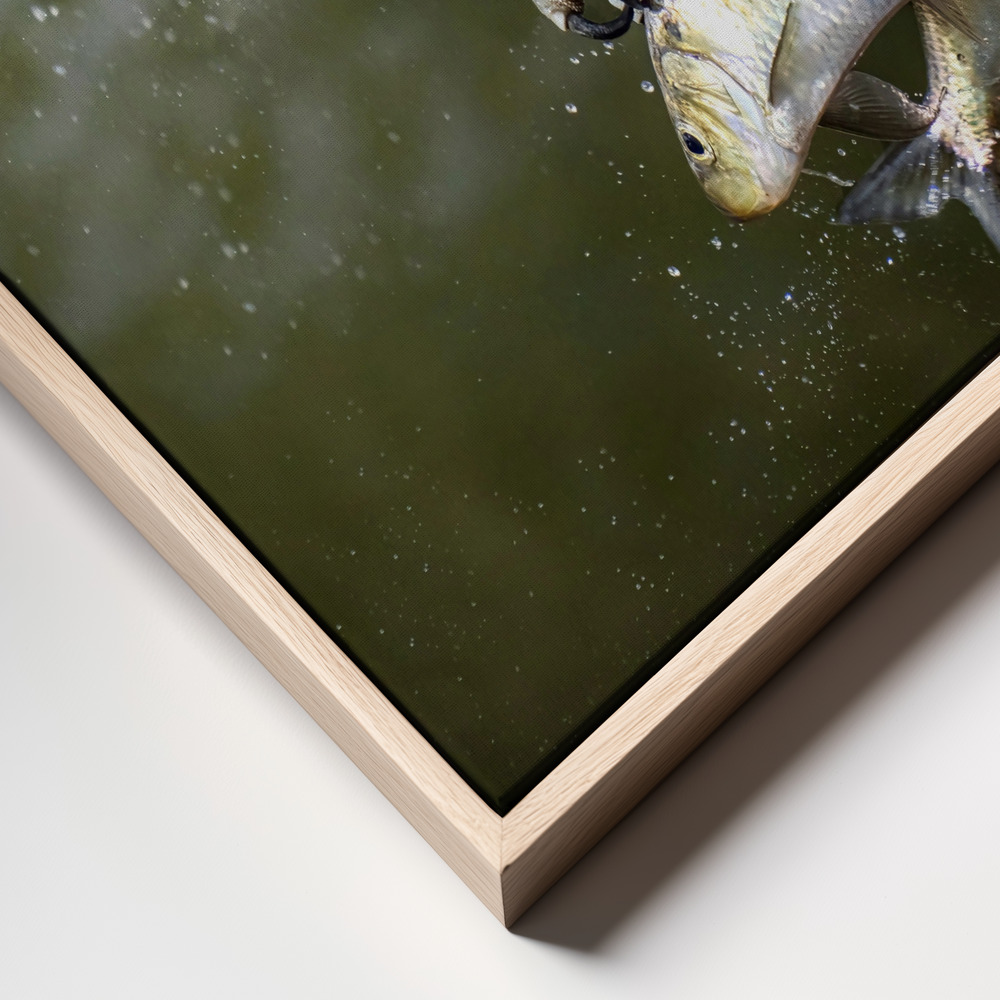 Canvas print - Osprey frame close up