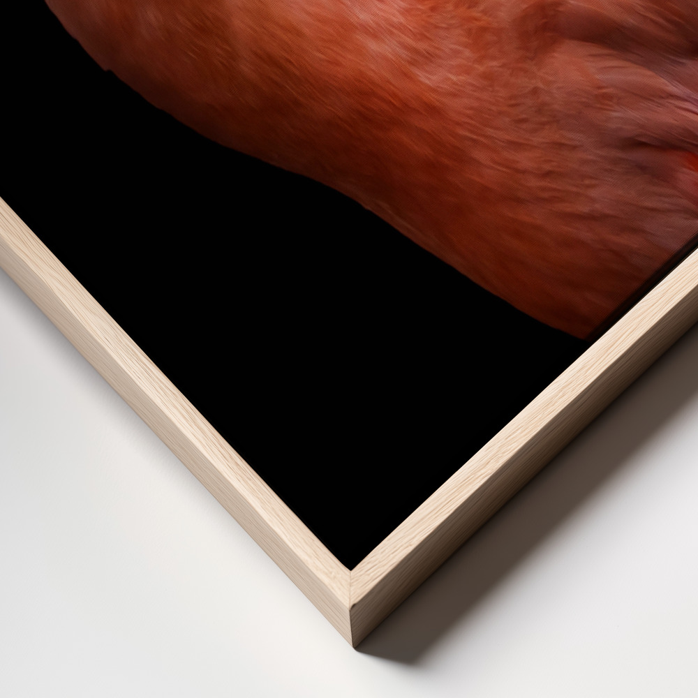 Canvas print - Flamingo's Poise frame close up