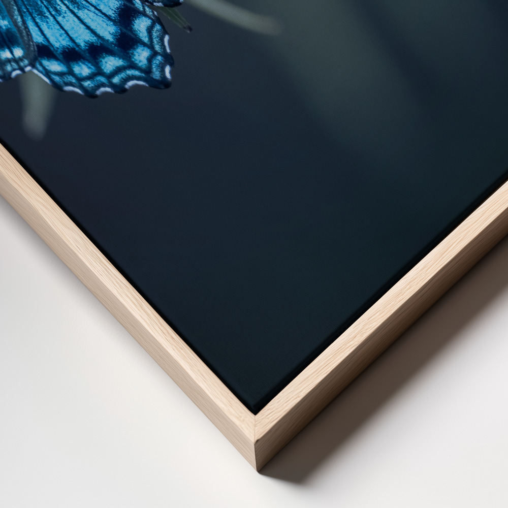 Canvas print - Butterfly frame close up