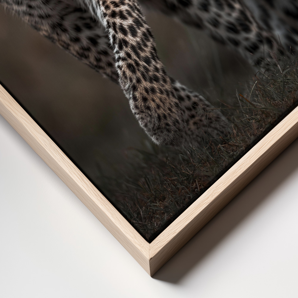 Canvas print - Surprise frame close up