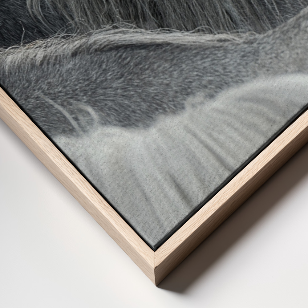 Canvas print - Look frame close up
