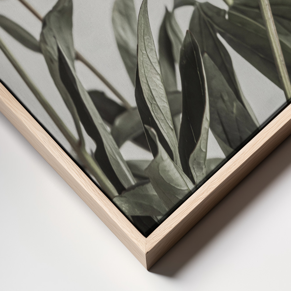Stampe su tela - Peony 04 frame close up