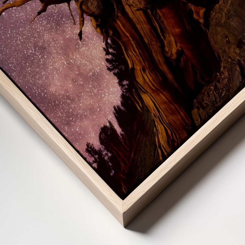 Canvas print - Mountain Sentinel frame close up