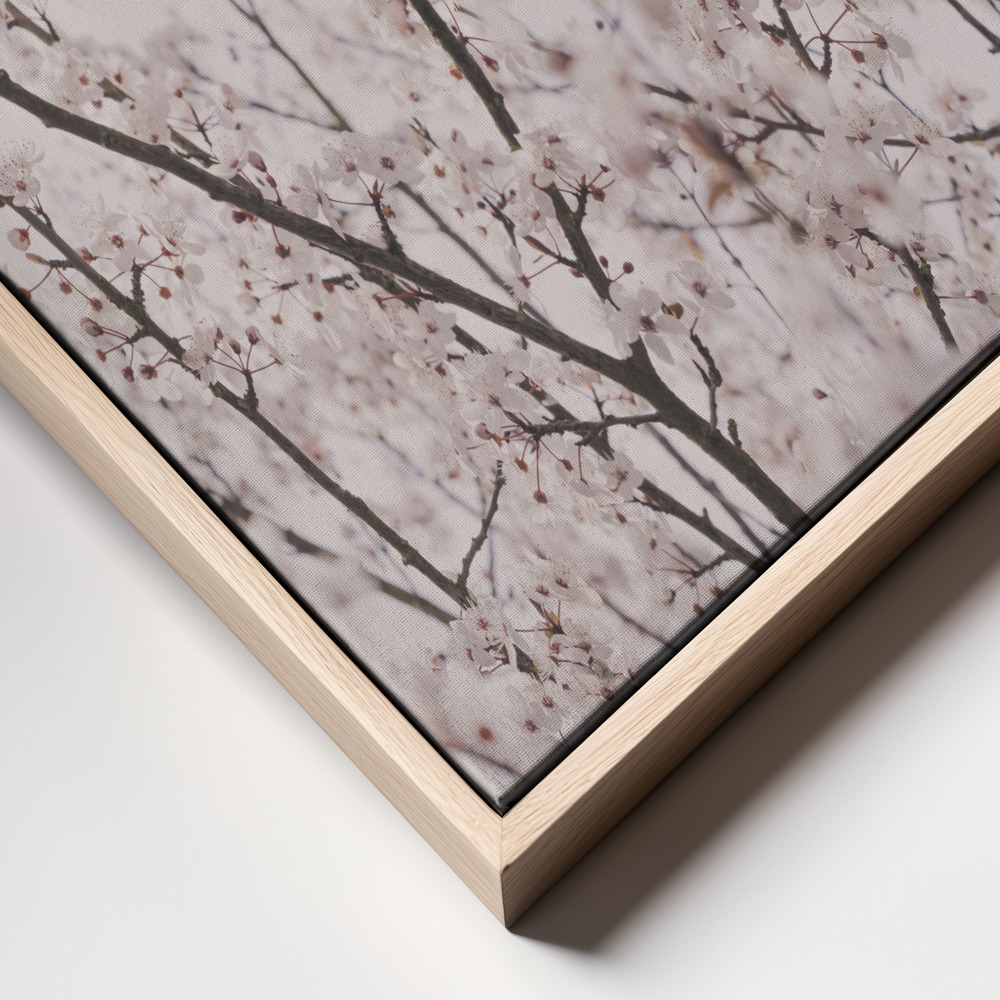 Canvas print - Spring blossoms frame close up