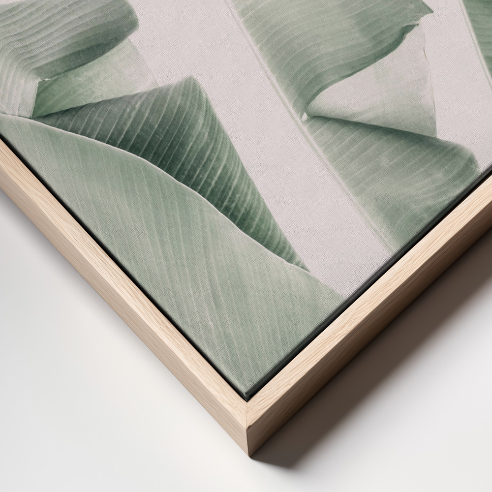 Leinwandbild - Blush Banana Leaves frame close up