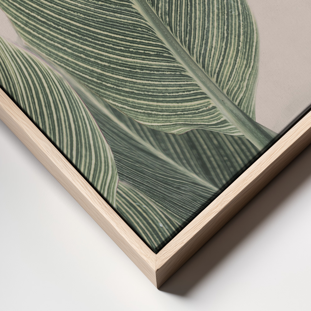 Leinwandbild - Calla Leaf frame close up