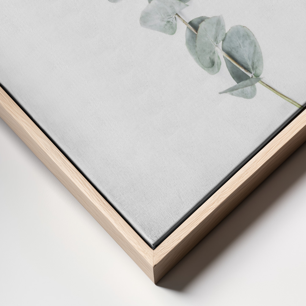 Obraz na płótnie - Eucalyptus II ramka z bliska - naturalna ramka