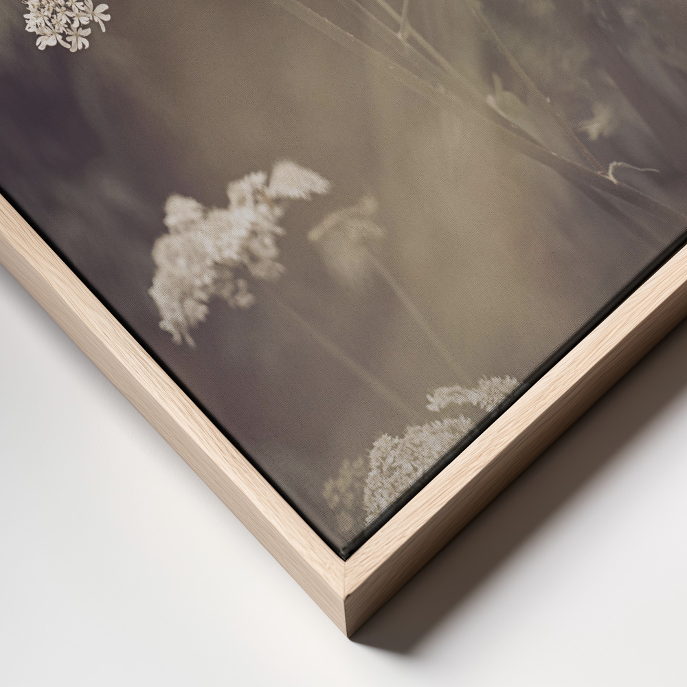 Canvas print - Wild Parsley frame close up