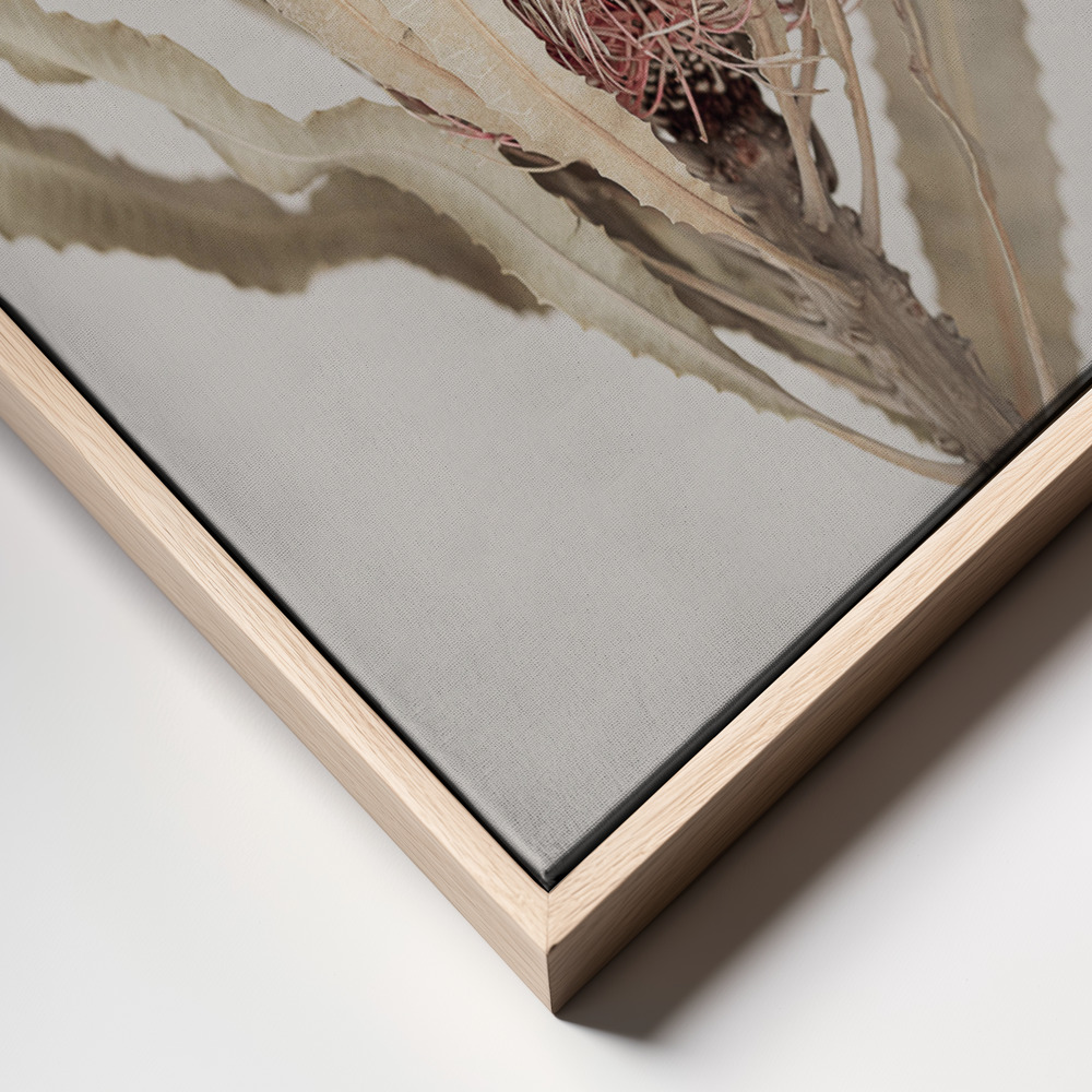 Leinwandbild - Banksia frame close up