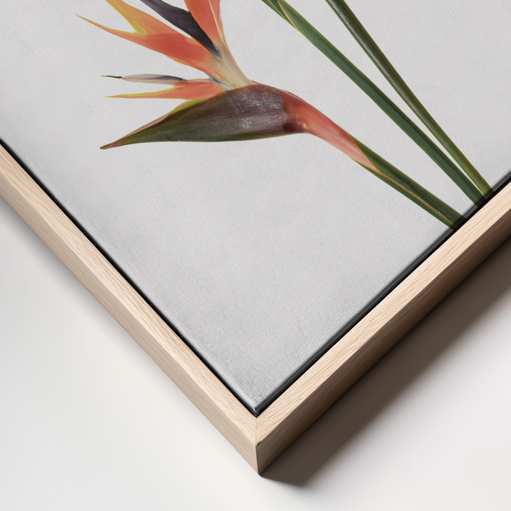 Canvas print - Birds of Paradise frame close up