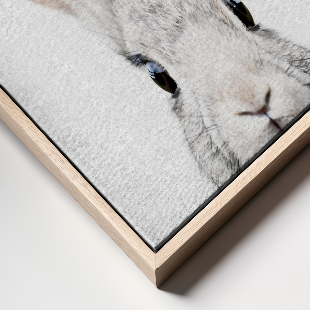 Canvas print - Peeking Bunny frame close up
