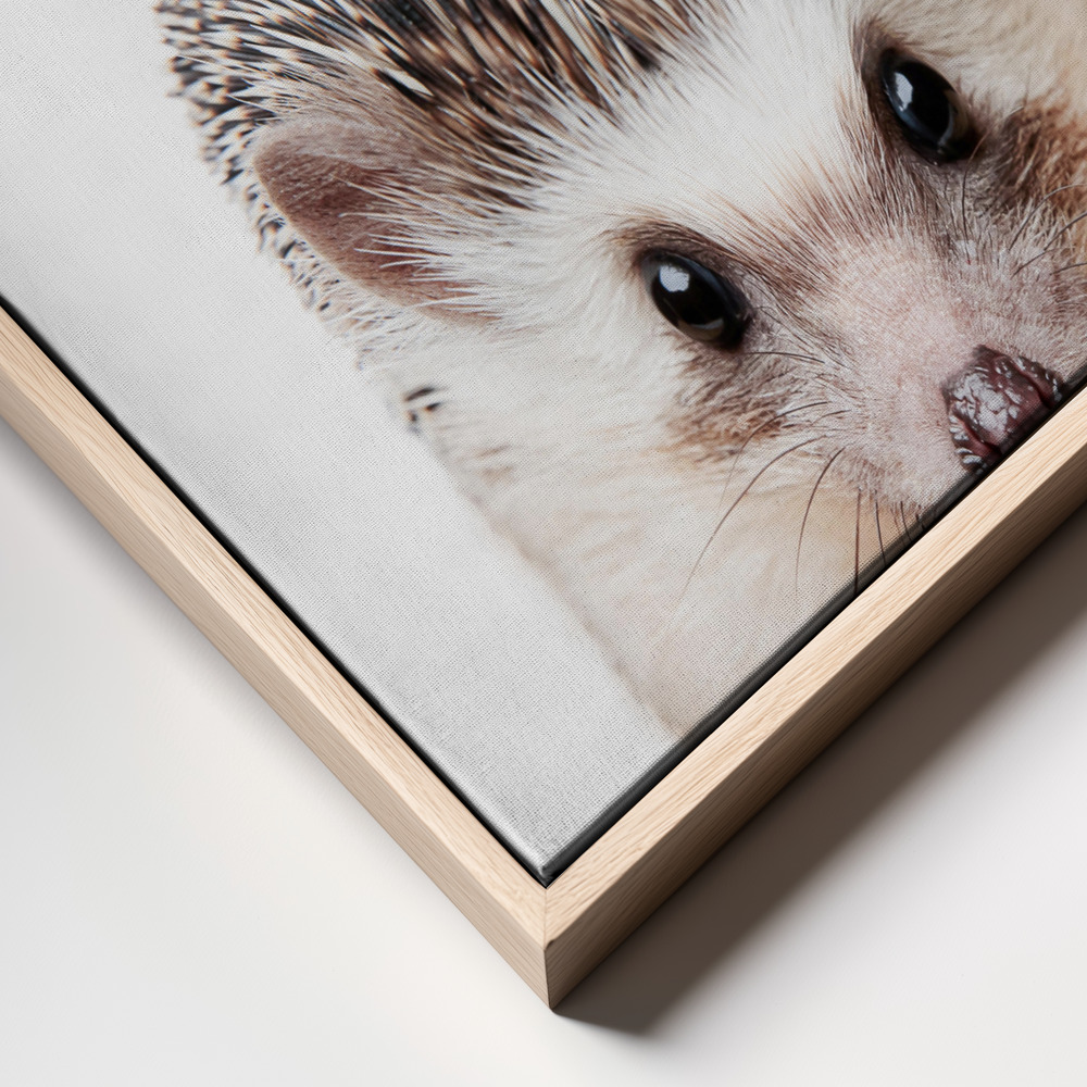 Canvas print - Peeking Hedgehog frame close up