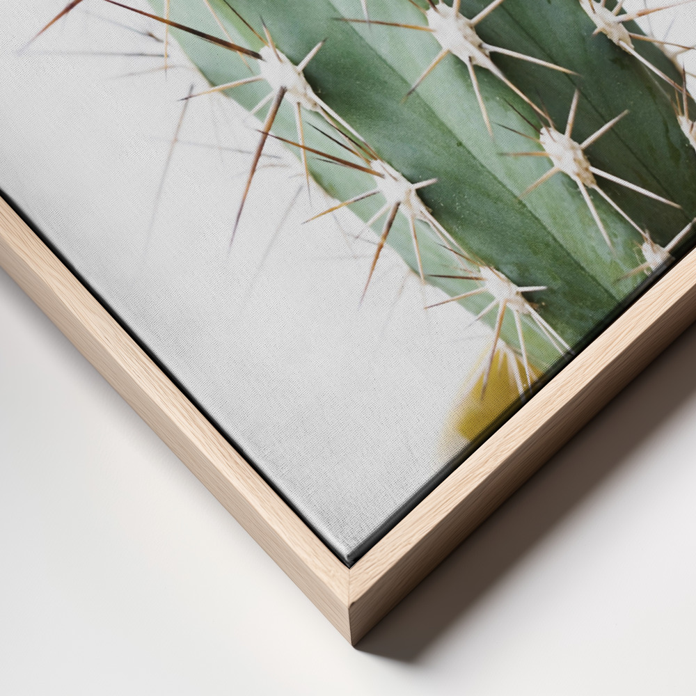 Canvas print - Spikey Cactus frame close up