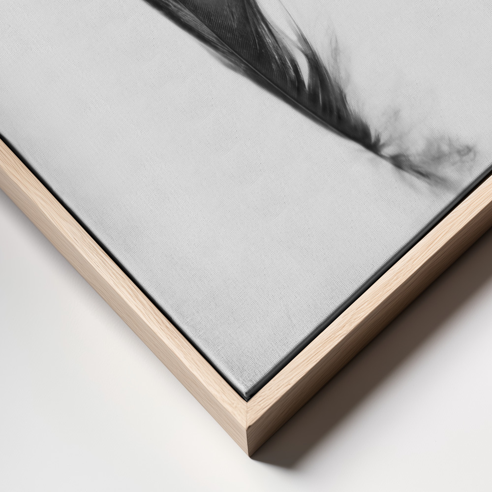 Canvas print - Feather frame close up