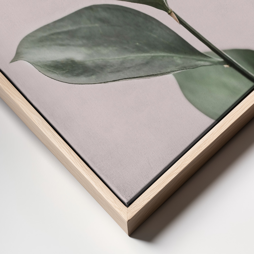 Canvas print - Foliage on Pink frame close up