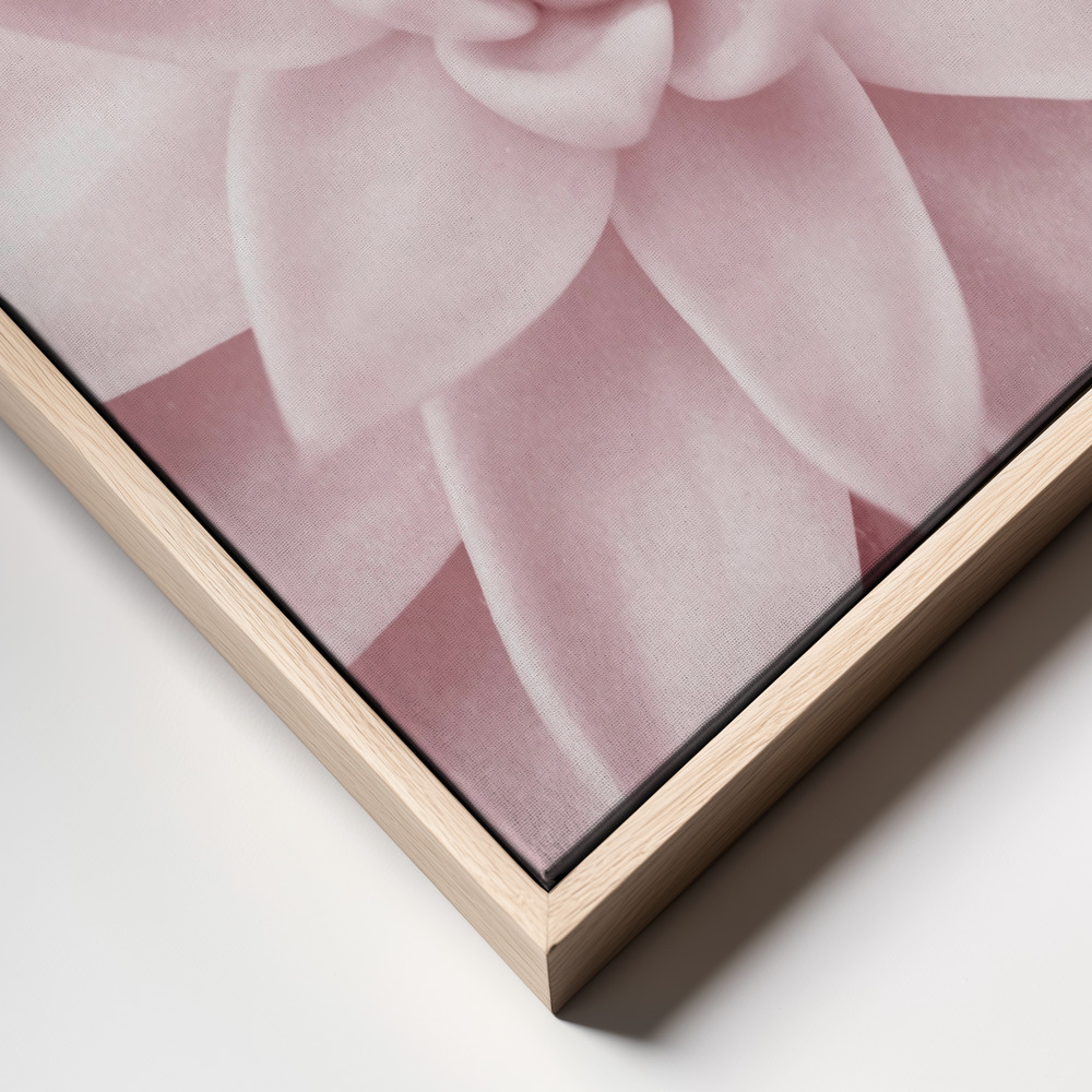 Canvas print - Pink Succulent frame close up