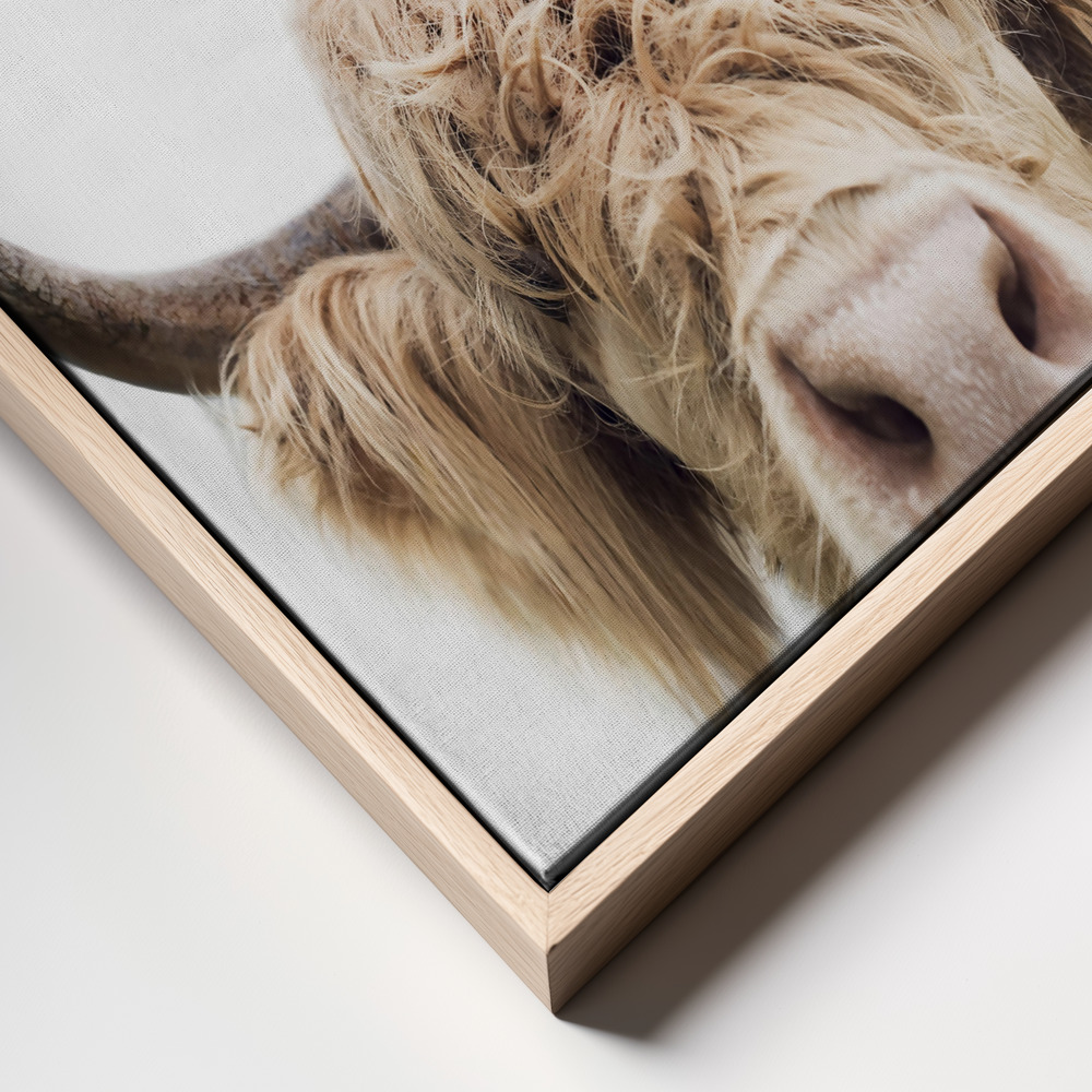 Toile - Peeking Cow cadre en gros plan - cadre naturel