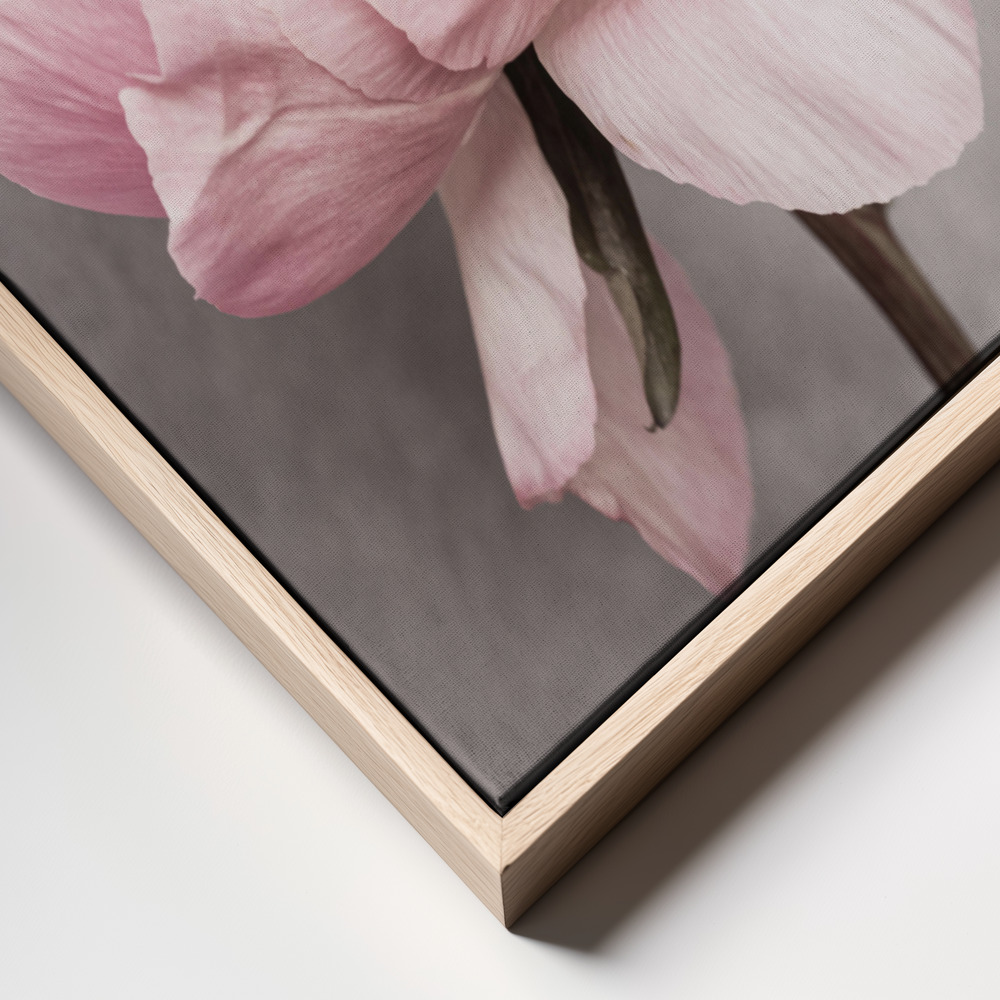 Canvas print - Peony frame close up