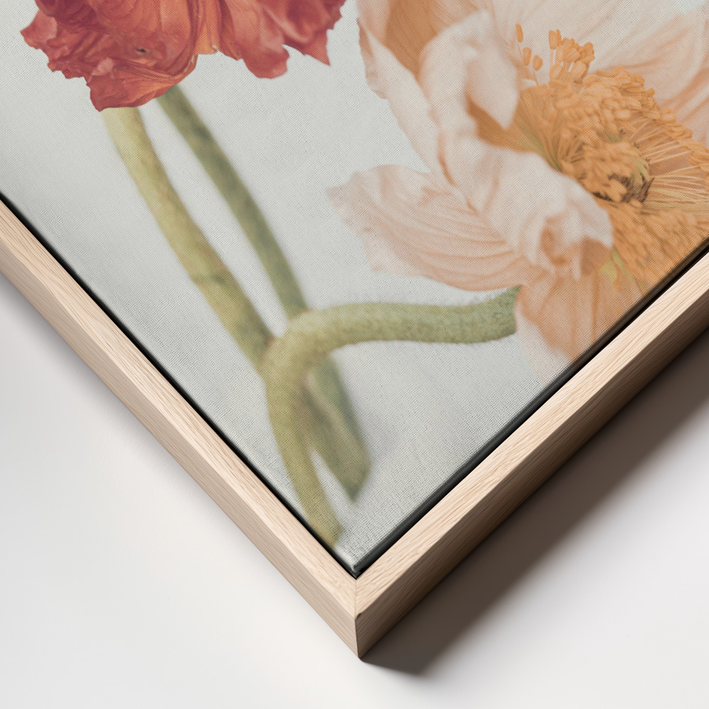 Canvas print - Poppies frame close up