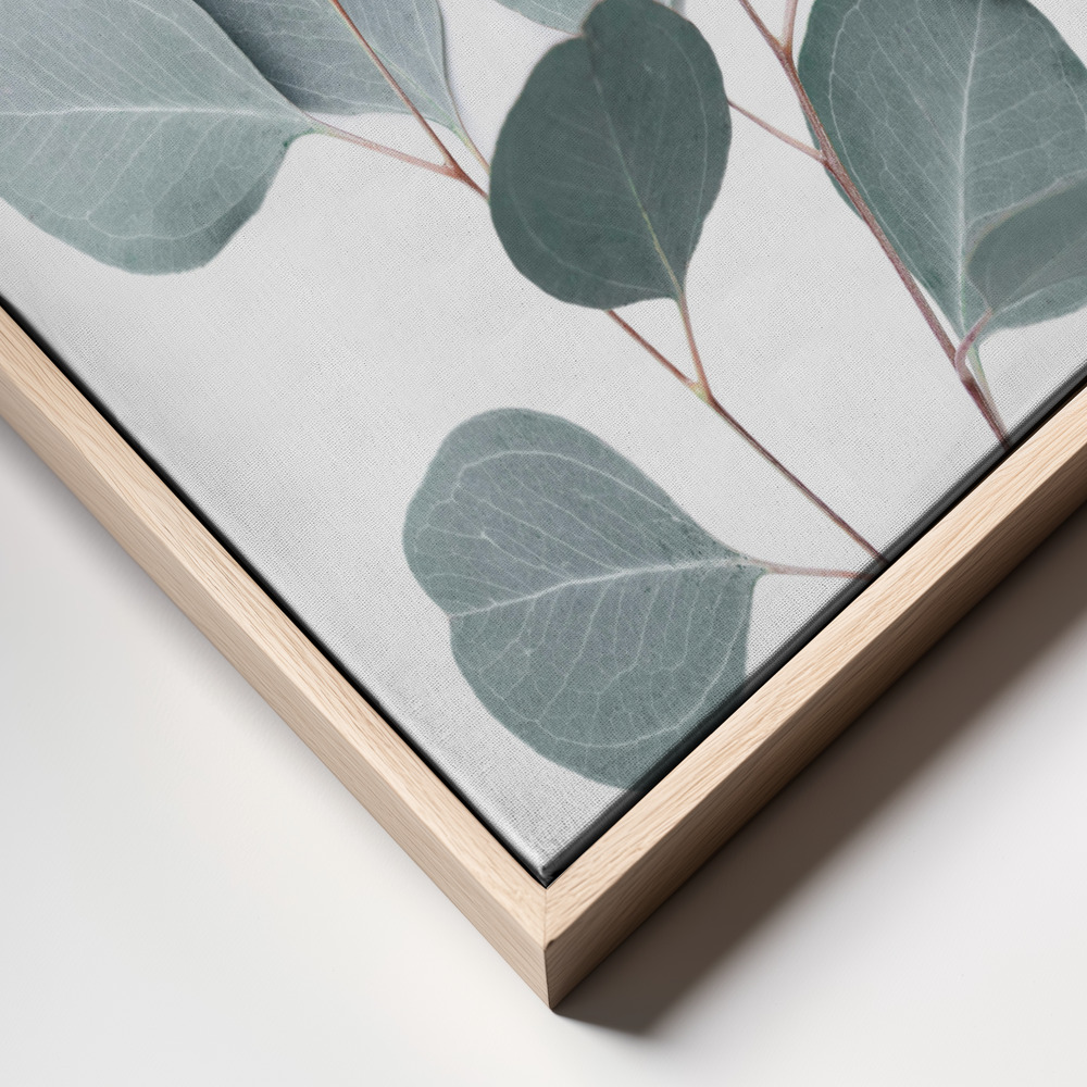 Canvas print - Silverdollar frame close up