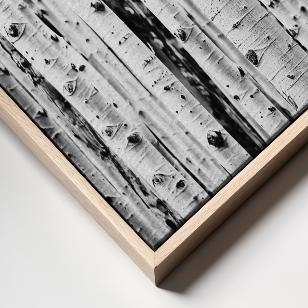 Toile - Birches cadre en gros plan - cadre naturel