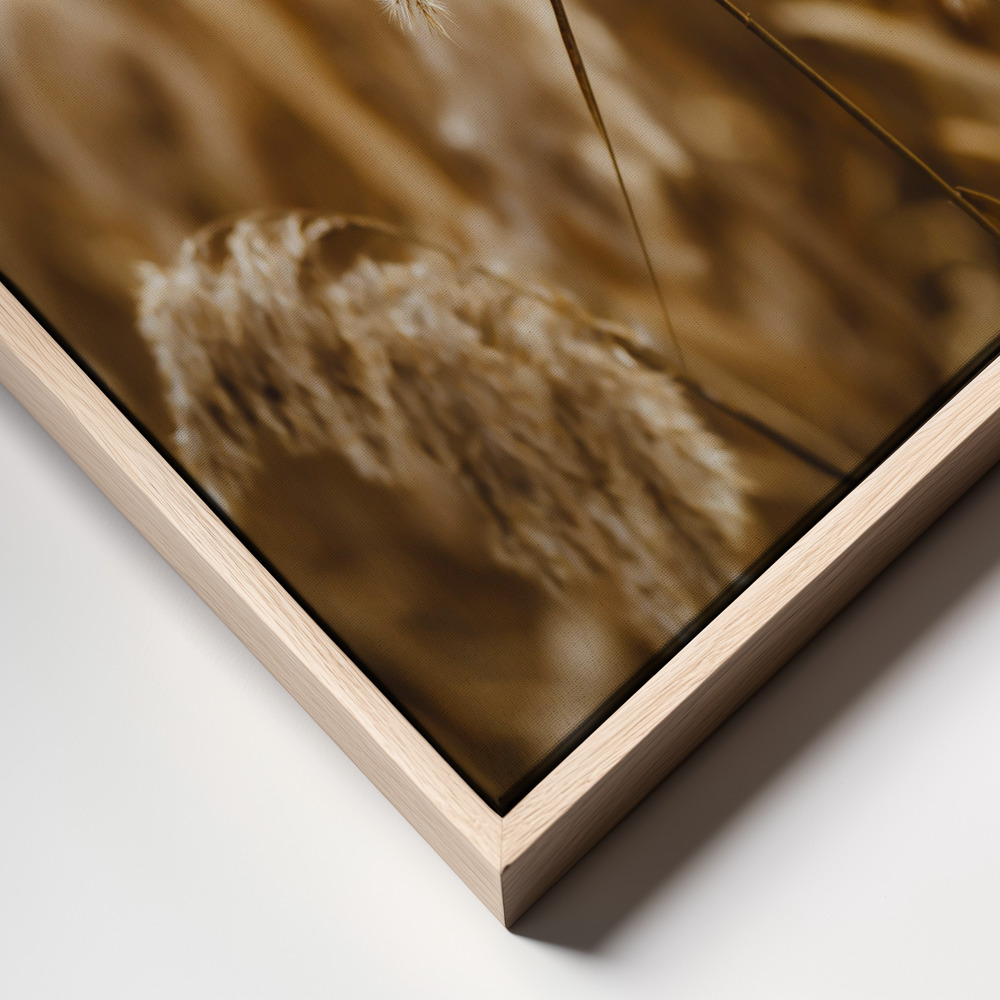 Canvas print - reed flower frame close up
