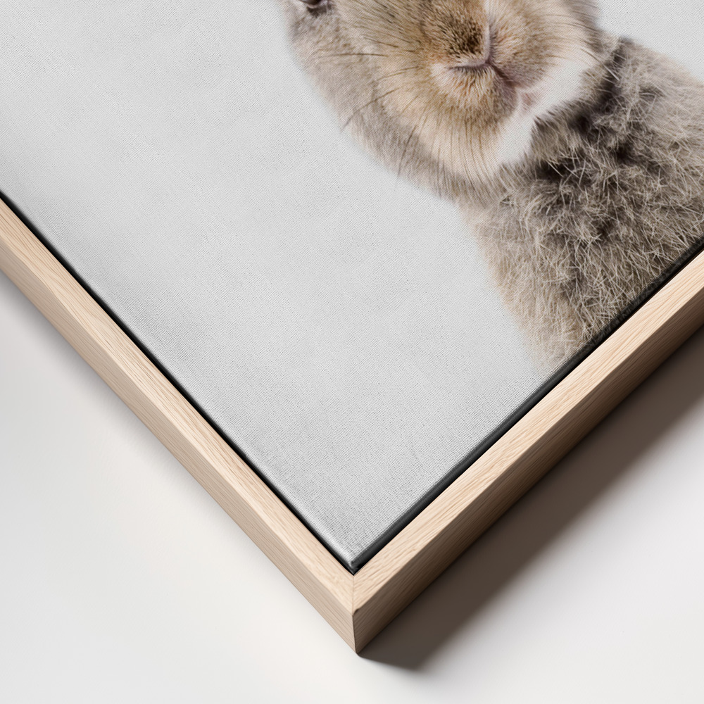Canvas print - Baby Rabbit frame close up