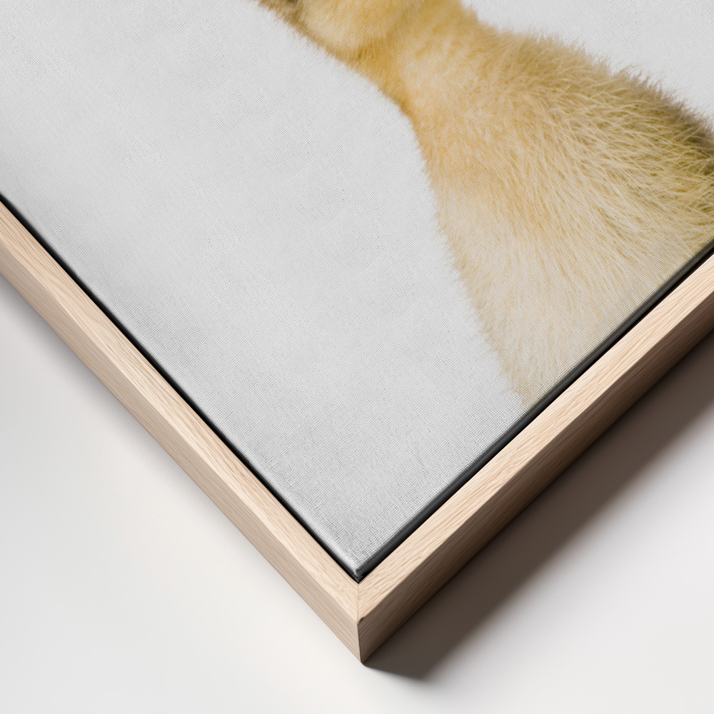 Canvas print - Baby Duck frame close up