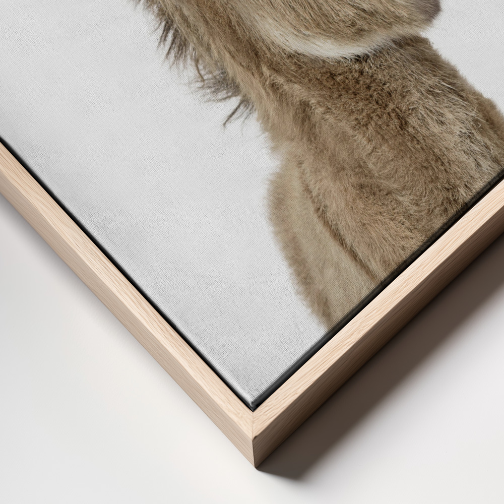 Toile - Baby Donkey cadre en gros plan - cadre naturel