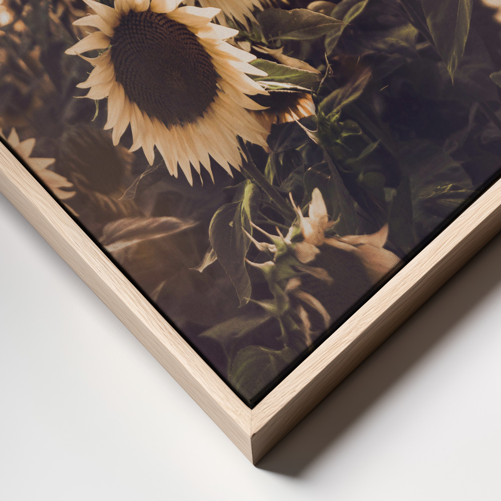 Canvas print - Sunflowers frame close up