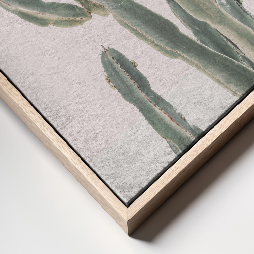 Canvas print - Sunrise Cactus frame close up