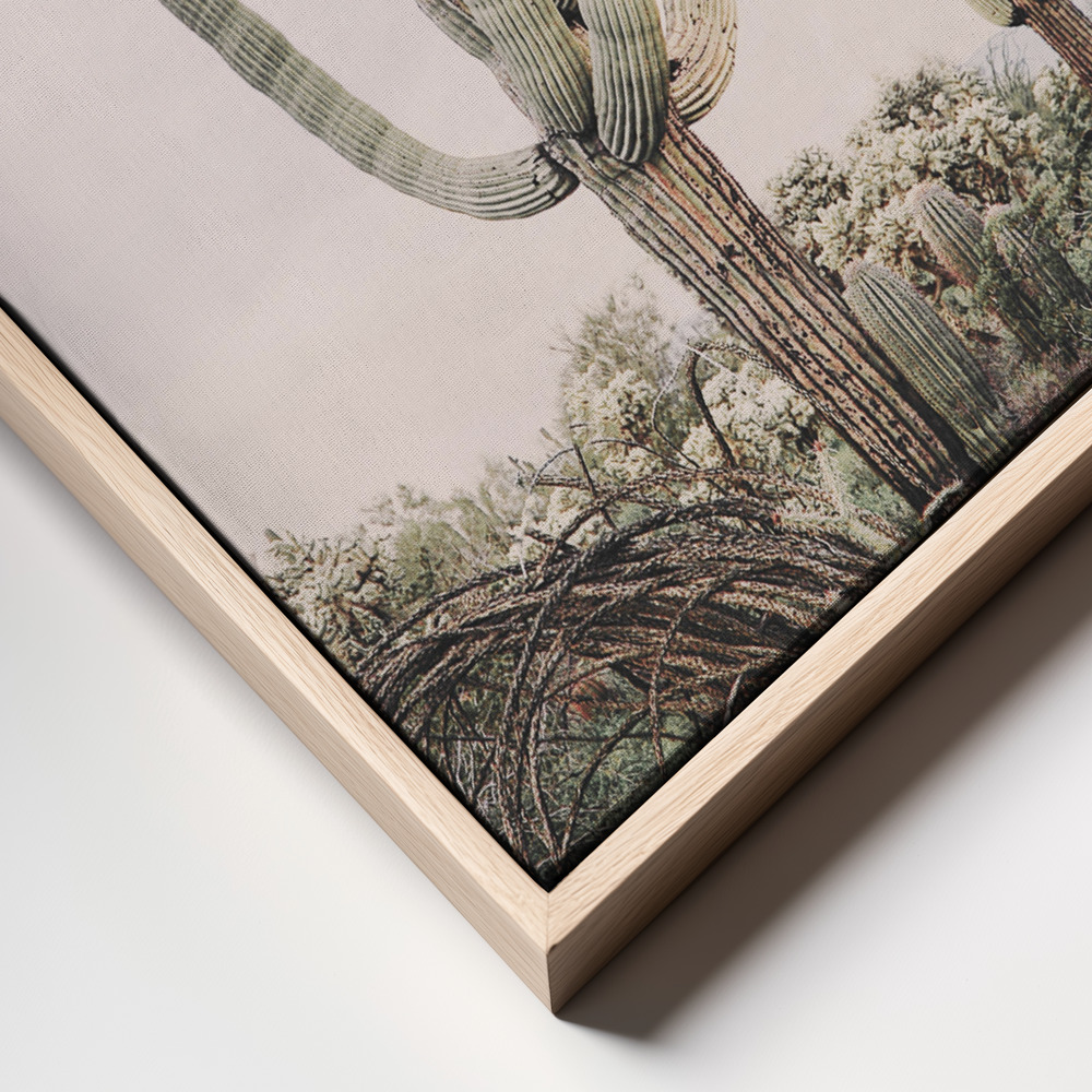Canvas print - Pink Saguaro frame close up