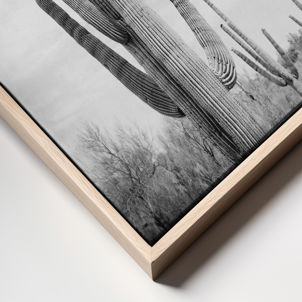 Canvas print - Saguaro B&W frame close up