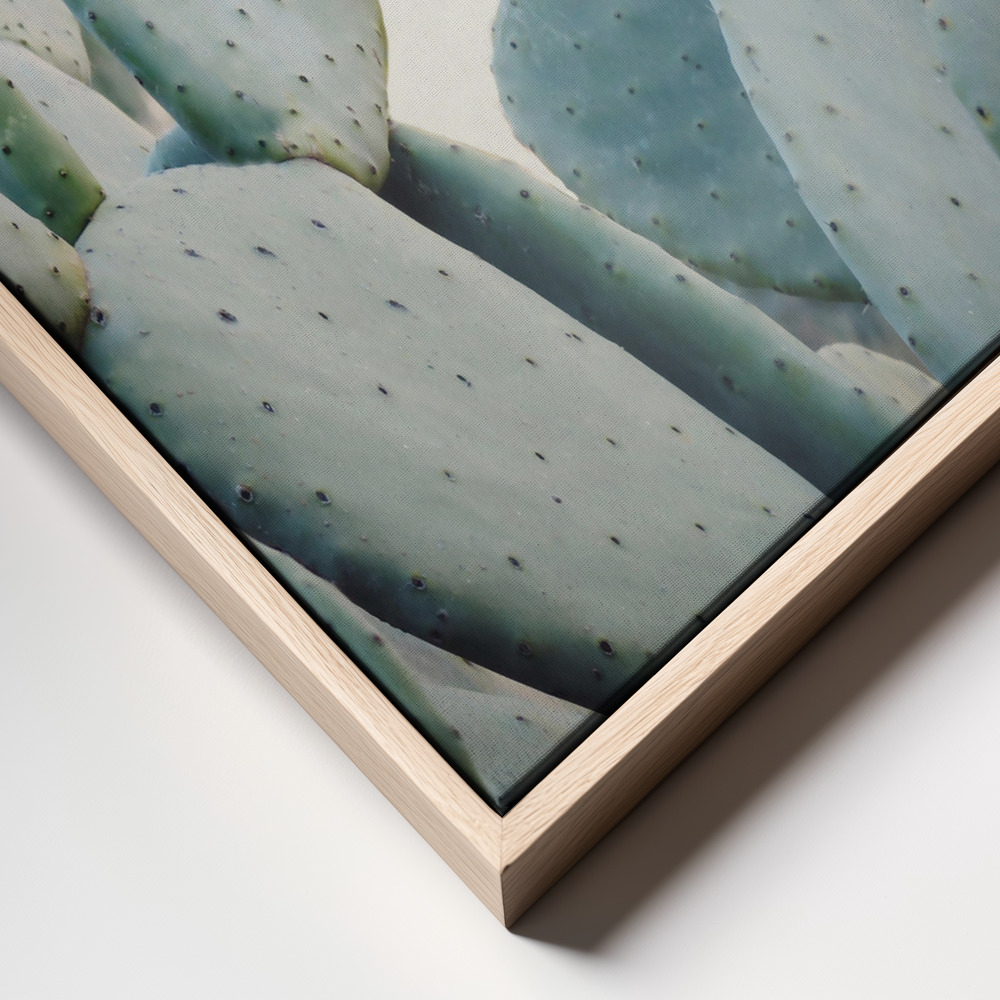 Canvas print - Pastel Cacti frame close up
