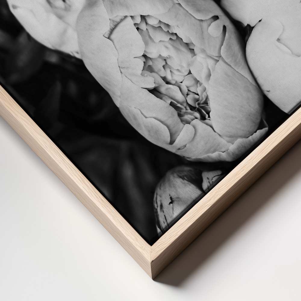 Obraz na płótnie - Peonies ramka z bliska - naturalna ramka