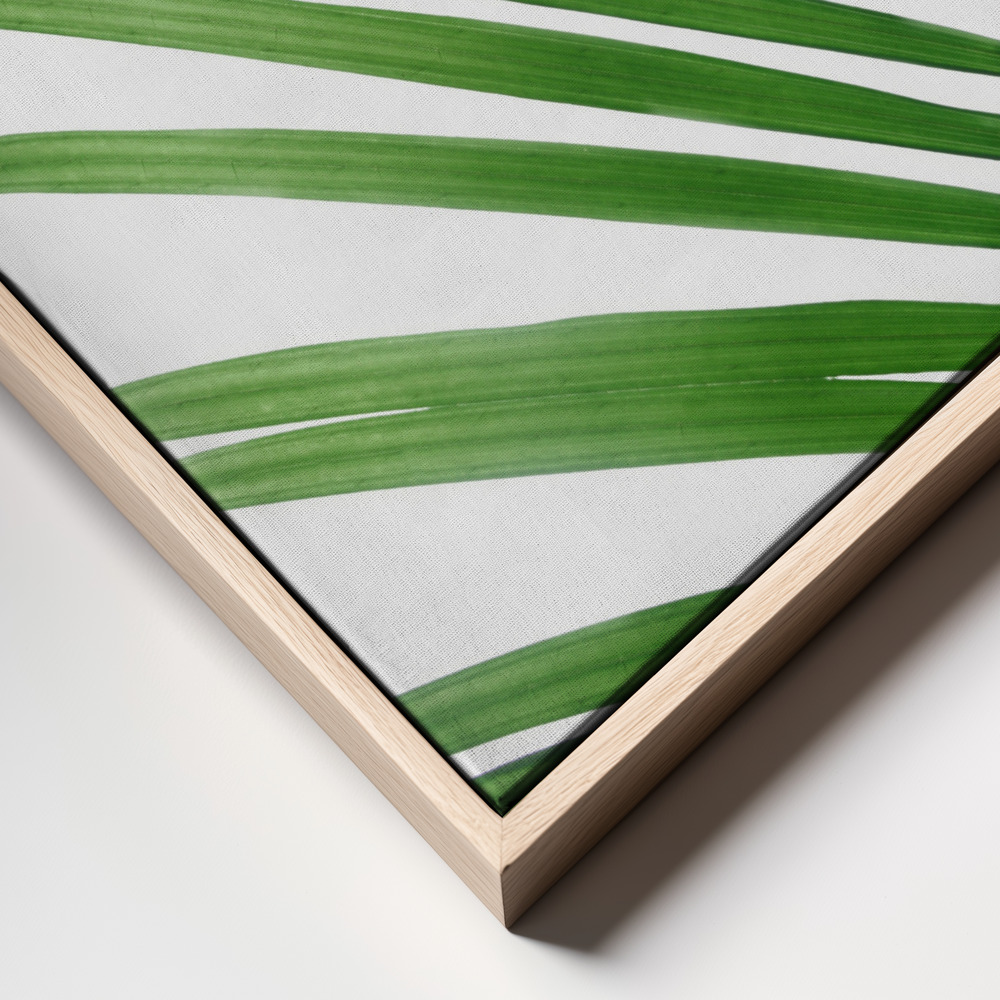 Obraz na płótnie - Green Palm Leaf ramka z bliska - naturalna ramka