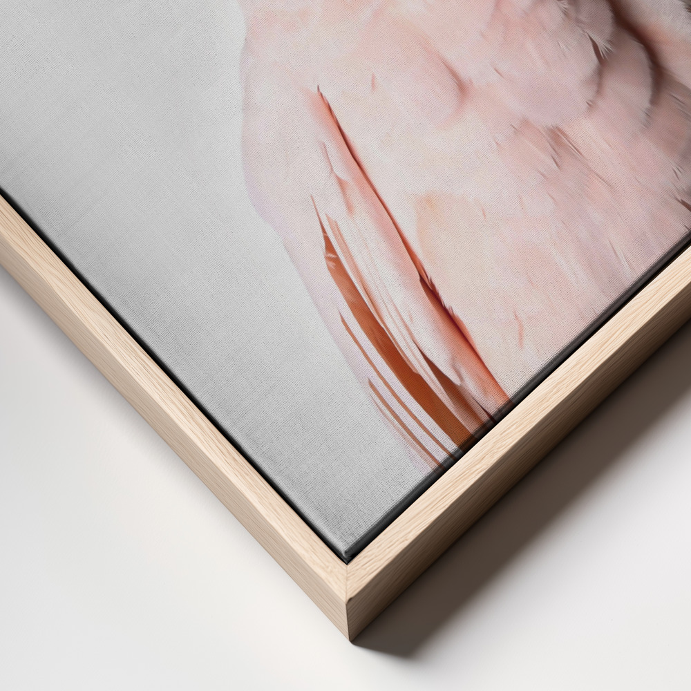 Canvas print - Pink Cockatoo frame close up