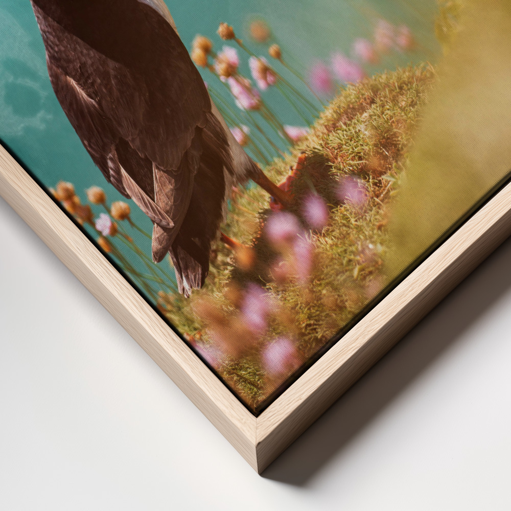 Canvas print - Atlantic puffin (Fratercula arctica) frame close up