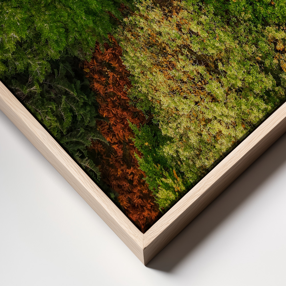 Canvas schilderi - La route de la forêt frame close up - natuurlijk frame