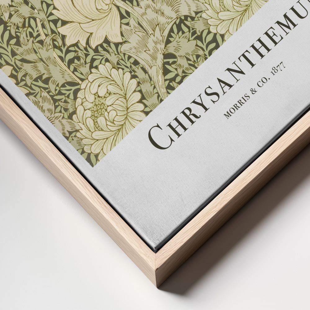 Canvas taulu - Chrysanthemum kehys lähikuva - luonnollinen kehys