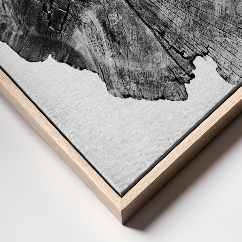 Canvas print - Oak Log frame close up