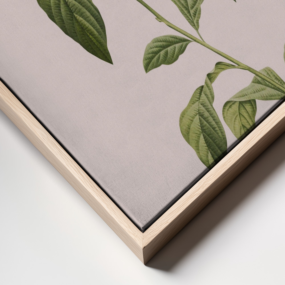 Canvas print - Botanical cycling frame close up